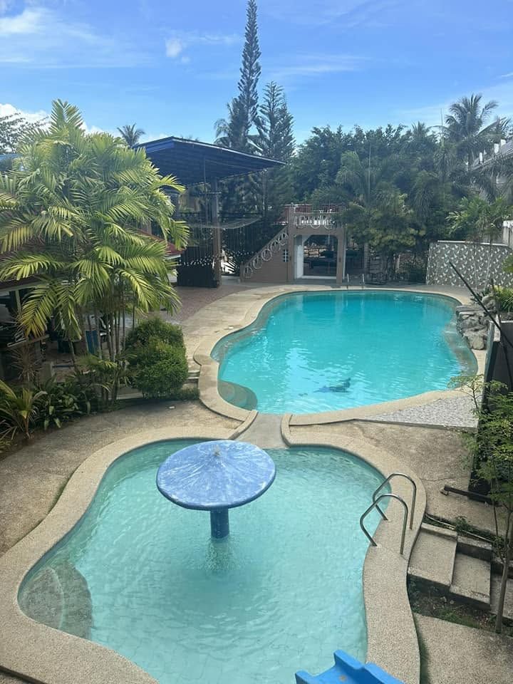 Aerial view of EricFlo's two free-form pools, the lower one with a mushroom fountain, ringed by palms